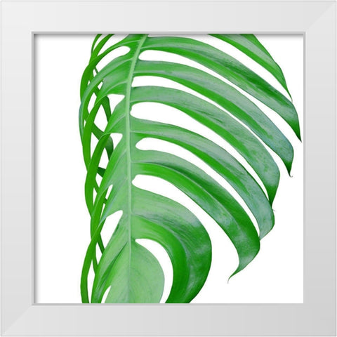 Pop up 3 White Modern Wood Framed Art Print by Phillip, Jamie