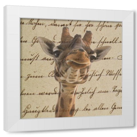 Geraffity White Modern Wood Framed Art Print by Phillip, Jamie