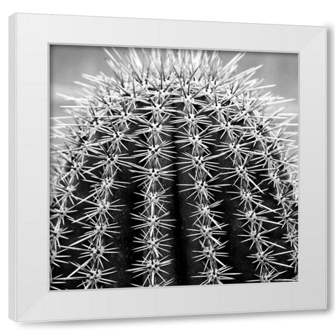 Prickly Bulb 2 White Modern Wood Framed Art Print by Phillip, Jamie