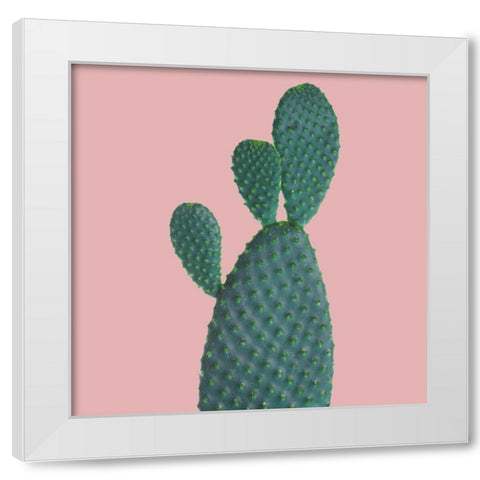 Tus White Modern Wood Framed Art Print by Phillip, Jamie