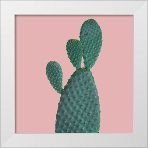 Tus White Modern Wood Framed Art Print by Phillip, Jamie