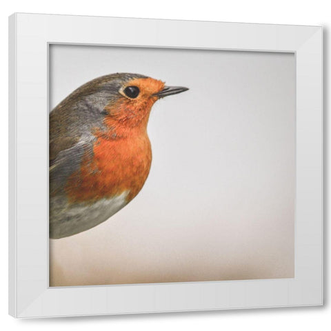 Woontoon White Modern Wood Framed Art Print by Phillip, Jamie