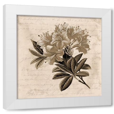 Love Letter White Modern Wood Framed Art Print by Phillip, Jamie