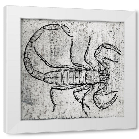 Spring Bug 1 White Modern Wood Framed Art Print by Phillip, Jamie