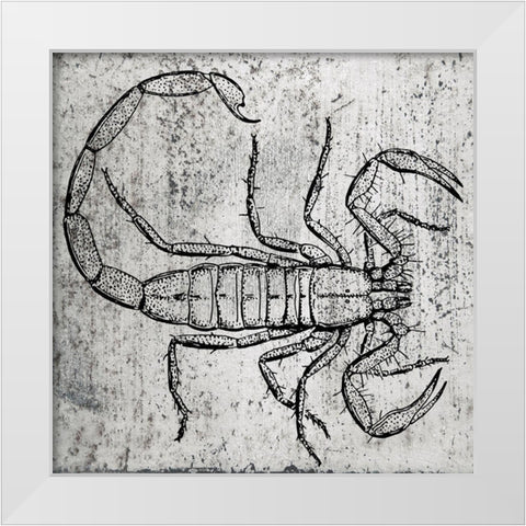 Spring Bug 1 White Modern Wood Framed Art Print by Phillip, Jamie