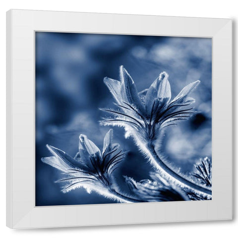 In Due Time White Modern Wood Framed Art Print by Phillip, Jamie