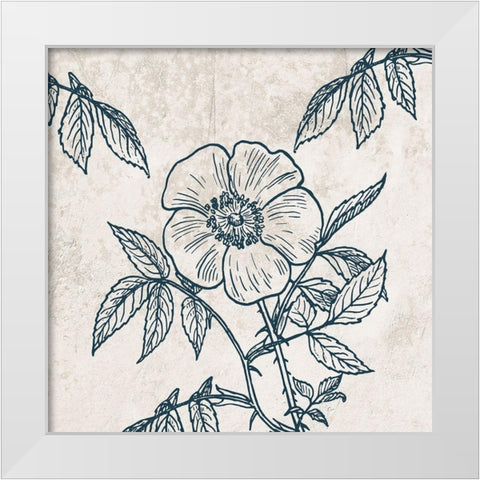 Botanical Roots 3 White Modern Wood Framed Art Print by Phillip, Jamie