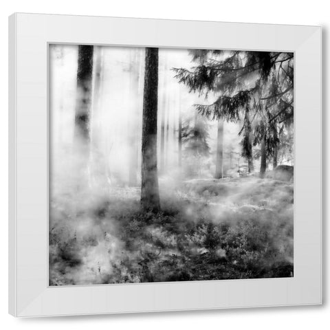 Black Forest White Modern Wood Framed Art Print by Phillip, Jamie