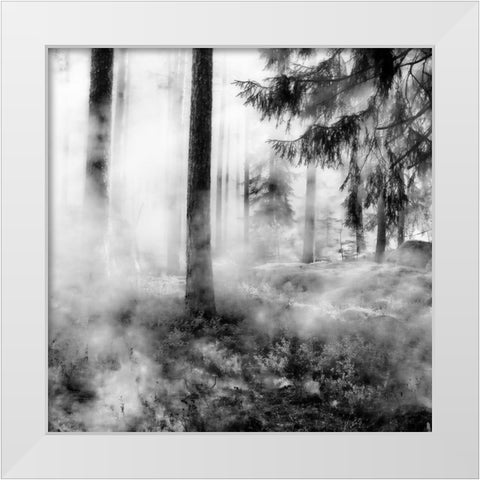 Black Forest White Modern Wood Framed Art Print by Phillip, Jamie