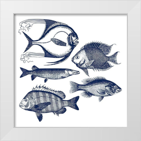 Fishes White Modern Wood Framed Art Print by Phillip, Jamie