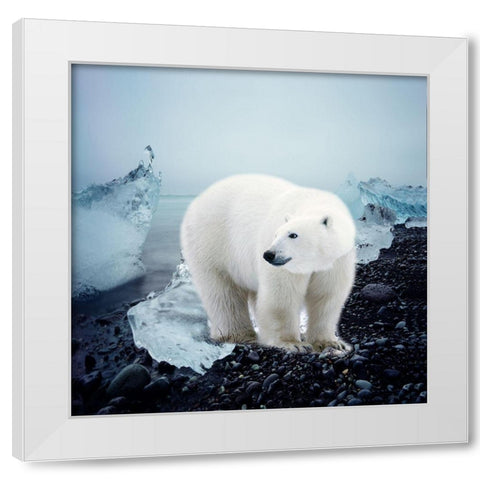 Polar Bear White Modern Wood Framed Art Print by Phillip, Jamie