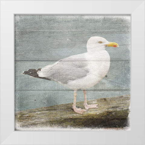 Marquis Bay 2 White Modern Wood Framed Art Print by Phillip, Jamie