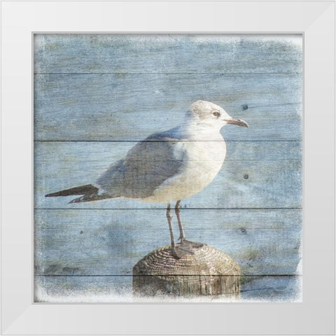 Marquis Bay 3 White Modern Wood Framed Art Print by Phillip, Jamie