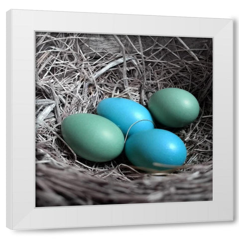 Blue Farm White Modern Wood Framed Art Print by Phillip, Jamie