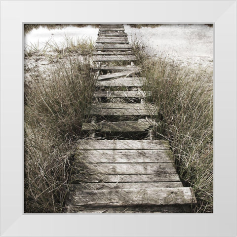 Marshland Quack 1 White Modern Wood Framed Art Print by Phillip, Jamie