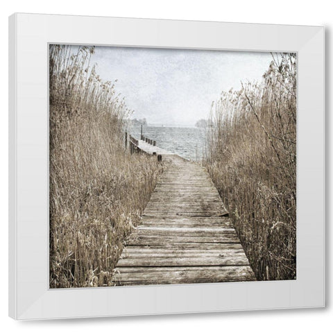 Marshland Quack 2 White Modern Wood Framed Art Print by Phillip, Jamie