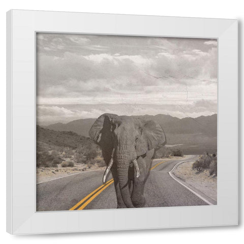 Safari Street White Modern Wood Framed Art Print by Phillip, Jamie