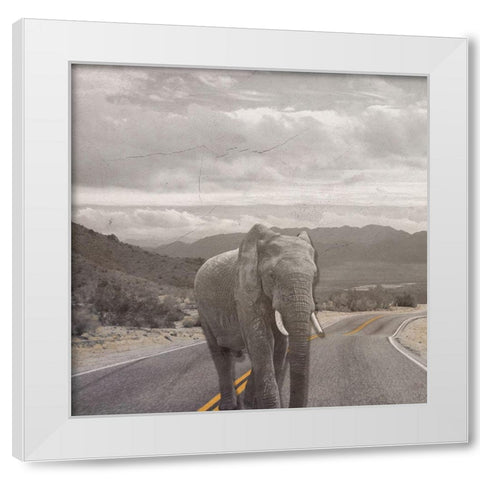 Safari Street 2 White Modern Wood Framed Art Print by Phillip, Jamie