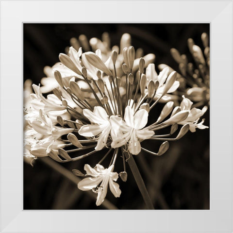 Copper Field White Modern Wood Framed Art Print by Phillip, Jamie