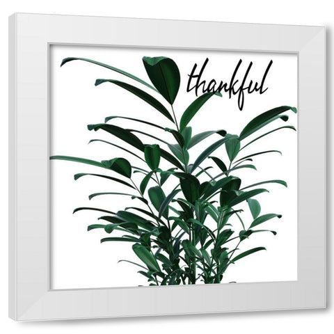 Thankful White Modern Wood Framed Art Print by Phillip, Jamie