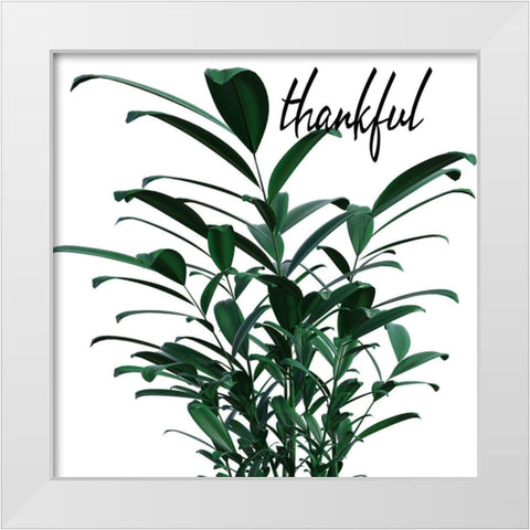 Thankful White Modern Wood Framed Art Print by Phillip, Jamie