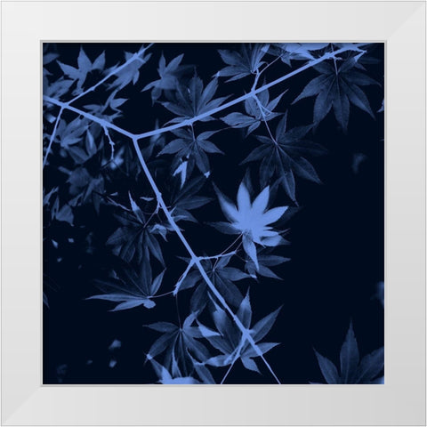 True Blue White Modern Wood Framed Art Print by Phillip, Jamie