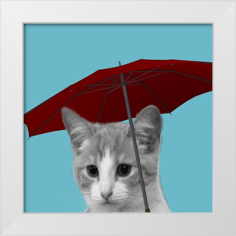 House Cat White Modern Wood Framed Art Print by Phillip, Jamie