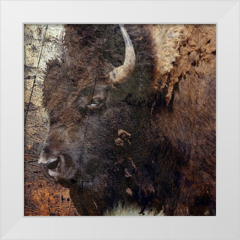Mr.Buffalo White Modern Wood Framed Art Print by Phillip, Jamie