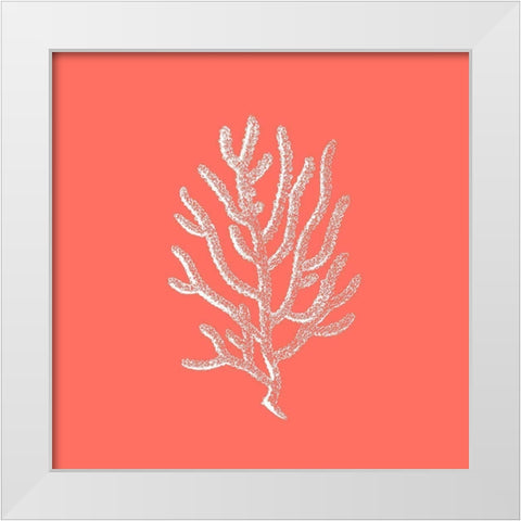 Coral 2 White Modern Wood Framed Art Print by Phillip, Jamie