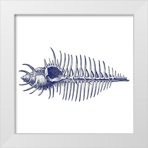 Coral 4 White Modern Wood Framed Art Print by Phillip, Jamie