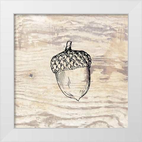 Fall Acorn White Modern Wood Framed Art Print by Phillip, Jamie