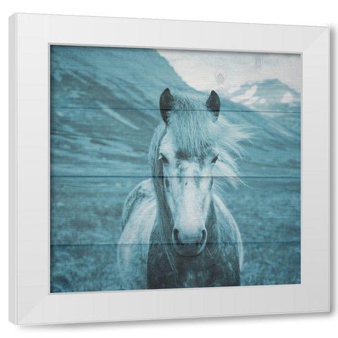 Roseta On The Farm White Modern Wood Framed Art Print by Phillip, Jamie