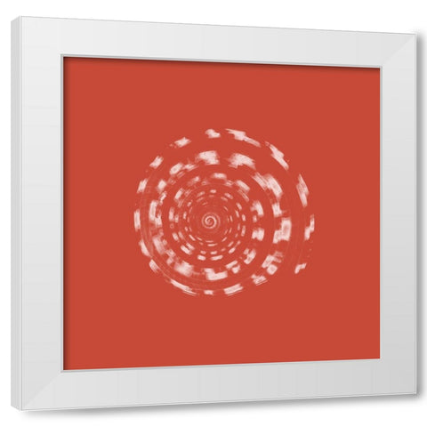 Coral Shell White Modern Wood Framed Art Print by Phillip, Jamie