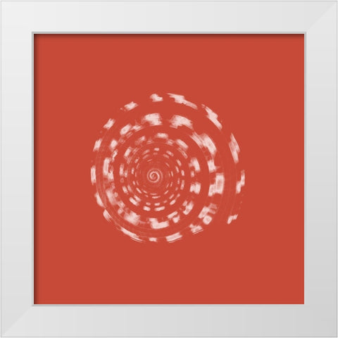 Coral Shell White Modern Wood Framed Art Print by Phillip, Jamie