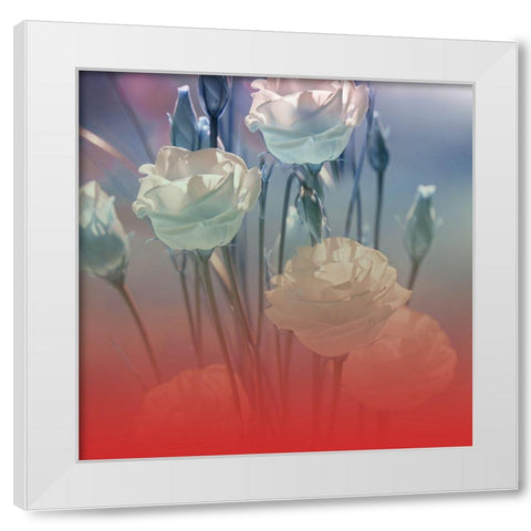 Xray Roses White Modern Wood Framed Art Print by Phillip, Jamie