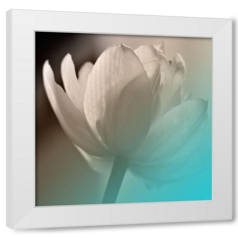 Xray Lip White Modern Wood Framed Art Print by Phillip, Jamie