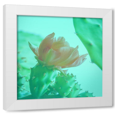 Mello Cactus White Modern Wood Framed Art Print by Phillip, Jamie