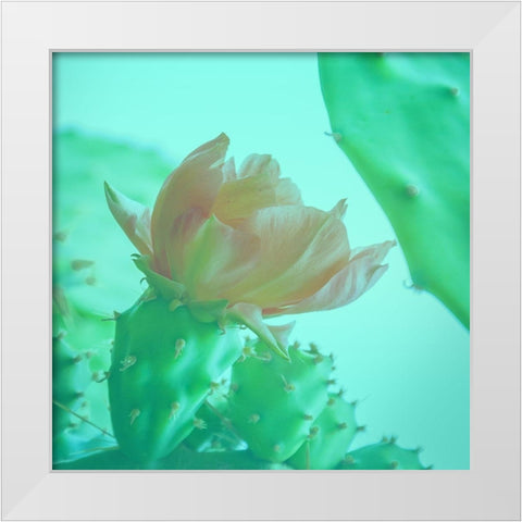 Mello Cactus White Modern Wood Framed Art Print by Phillip, Jamie