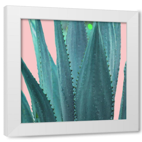 Succulent White Modern Wood Framed Art Print by Phillip, Jamie
