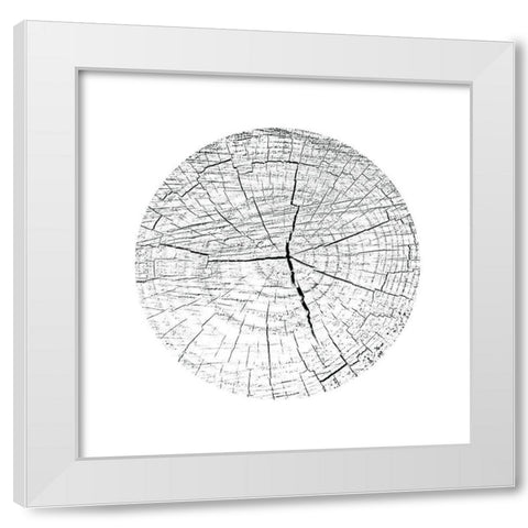 Love Stump 3 White Modern Wood Framed Art Print by Phillip, Jamie
