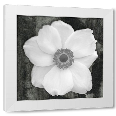 White Flower White Modern Wood Framed Art Print by Phillip, Jamie