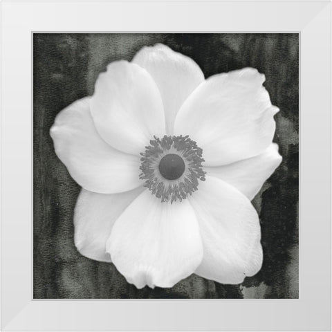 White Flower White Modern Wood Framed Art Print by Phillip, Jamie