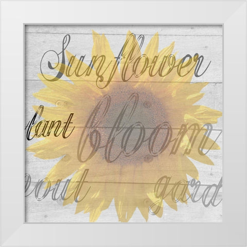 Sunflower 1 White Modern Wood Framed Art Print by Phillip, Jamie