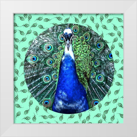 Round Peacock 2 White Modern Wood Framed Art Print by Phillip, Jamie