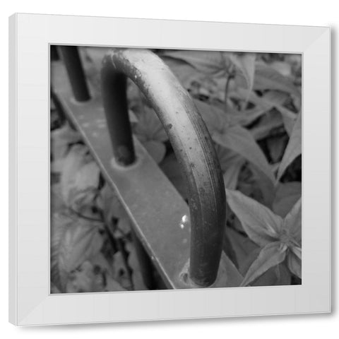 Brass White Modern Wood Framed Art Print by Phillip, Jamie