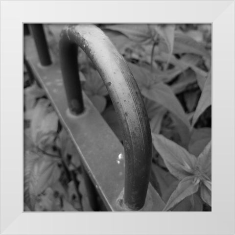 Brass White Modern Wood Framed Art Print by Phillip, Jamie