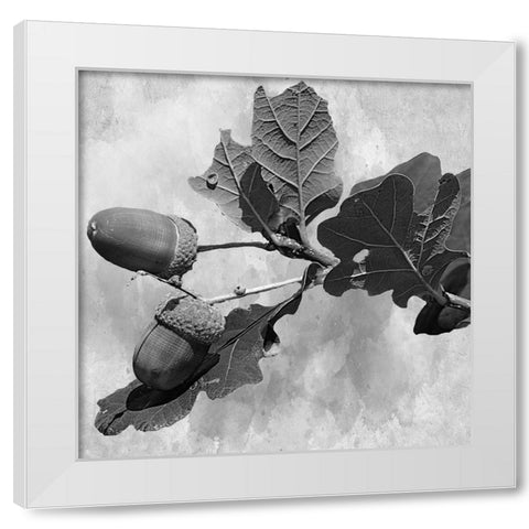 Botanical Trail White Modern Wood Framed Art Print by Phillip, Jamie