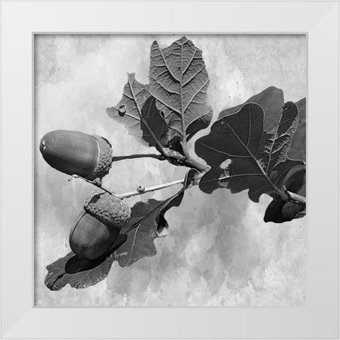 Botanical Trail White Modern Wood Framed Art Print by Phillip, Jamie