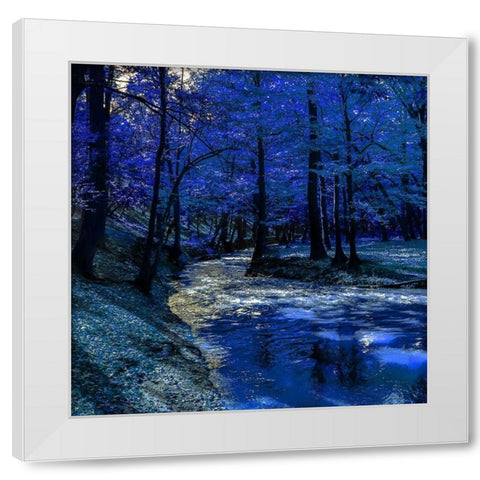 Mystical Blue Ravine White Modern Wood Framed Art Print by Phillip, Jamie