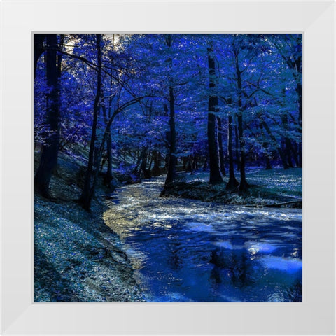 Mystical Blue Ravine White Modern Wood Framed Art Print by Phillip, Jamie